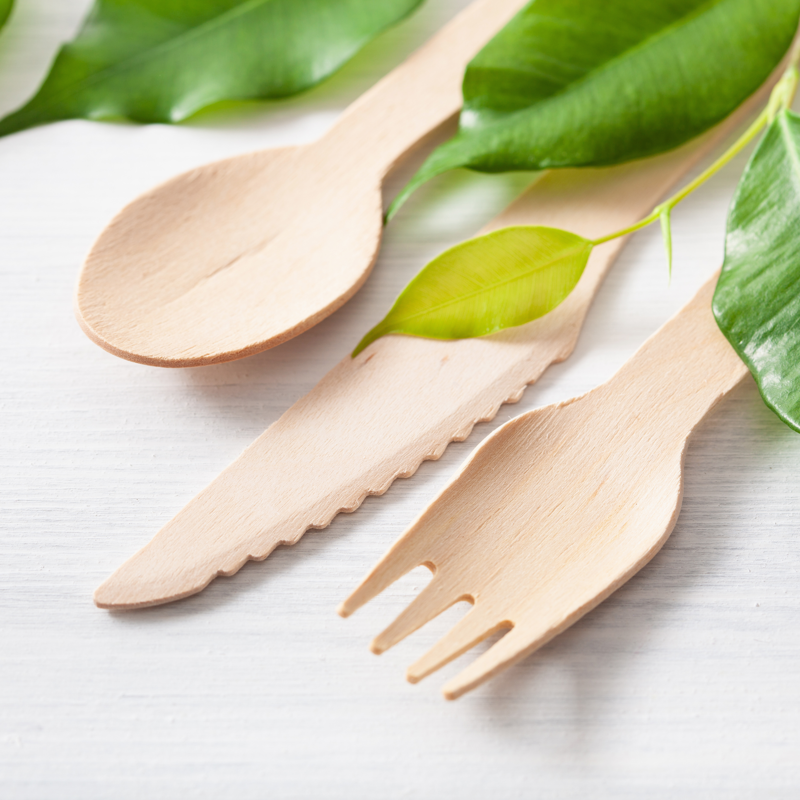 4 in 1 Birchwood Cutlery Set