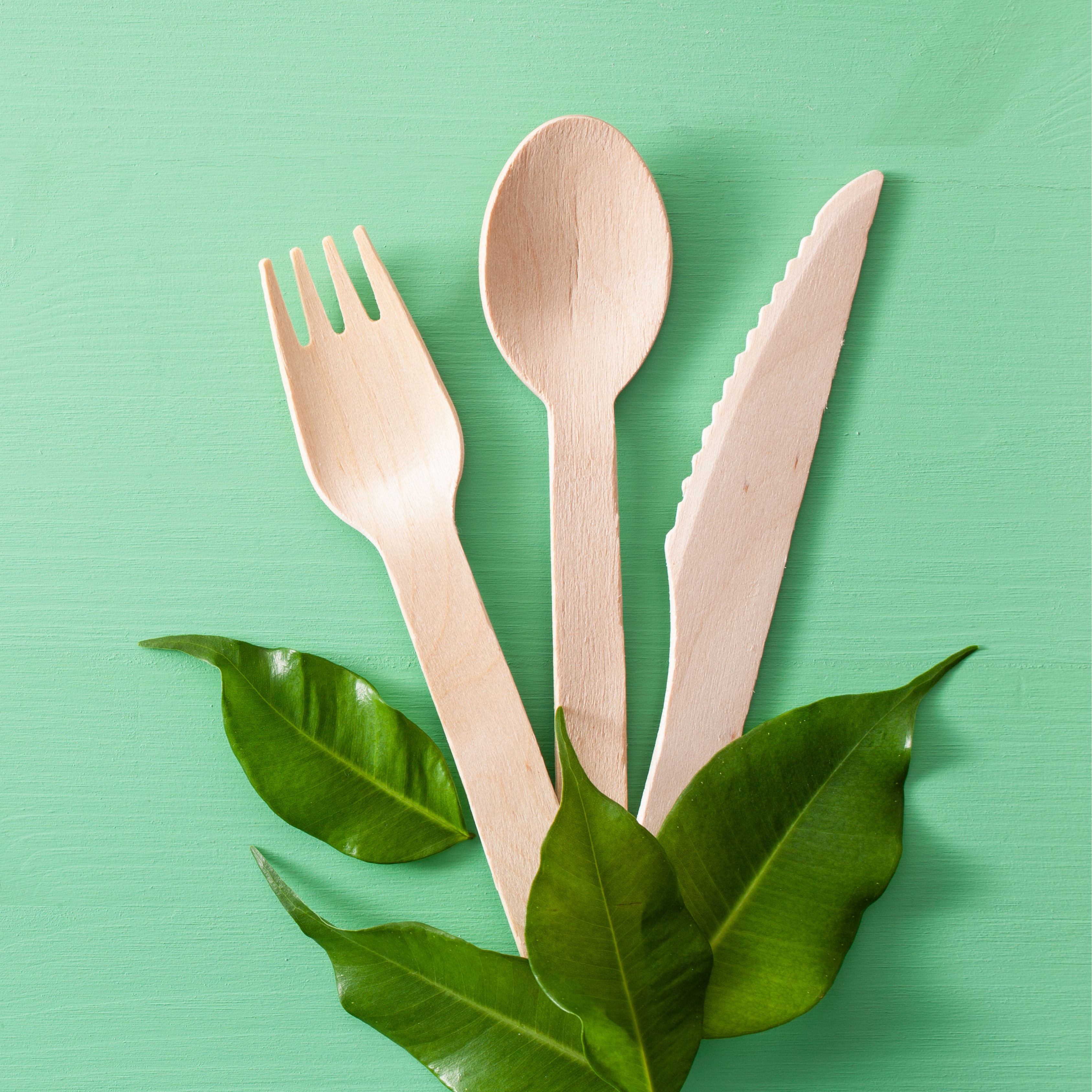 4 in 1 Birchwood Cutlery Set