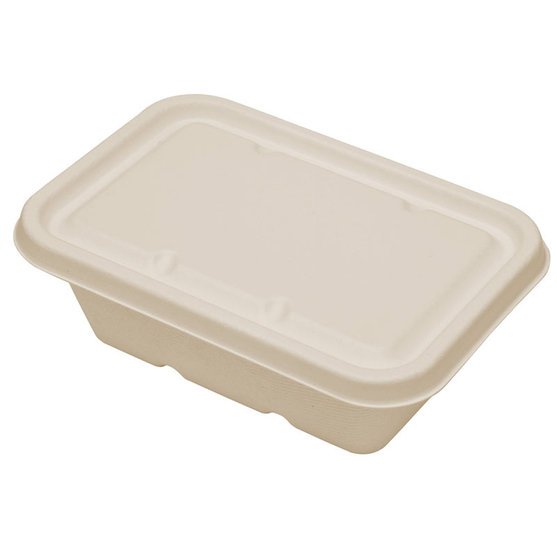 Sample-750ml Rectangle Food Box (18 x 12.5 x 6.5CM)