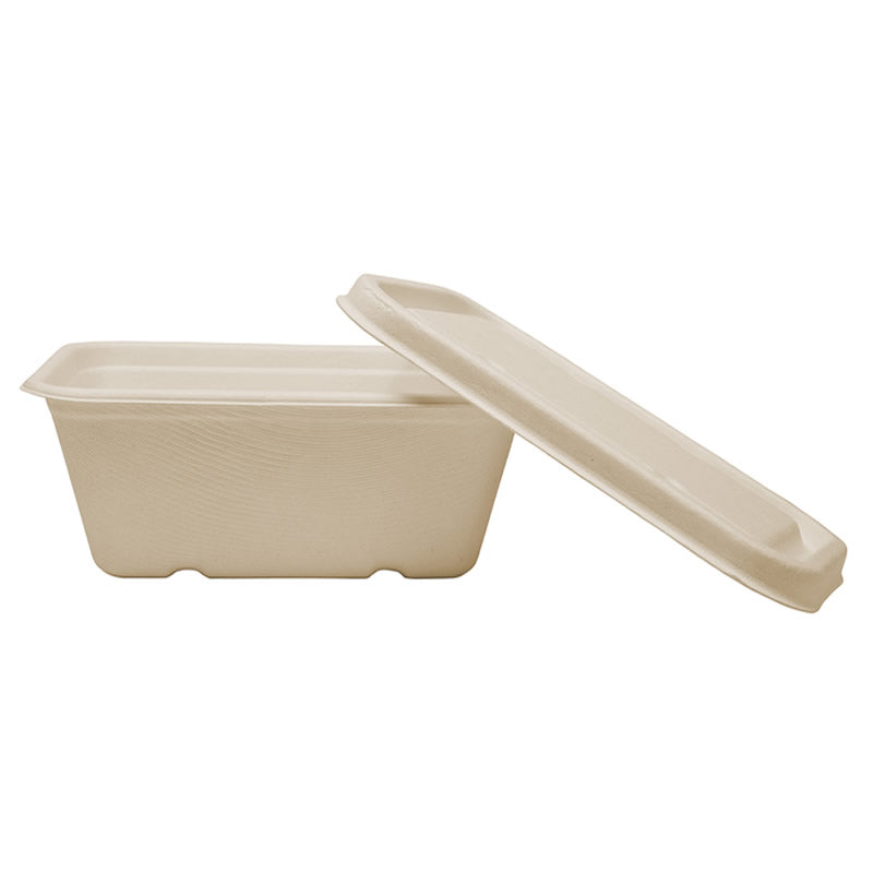 Sample-750ml Rectangle Food Box (18 x 12.5 x 6.5CM)
