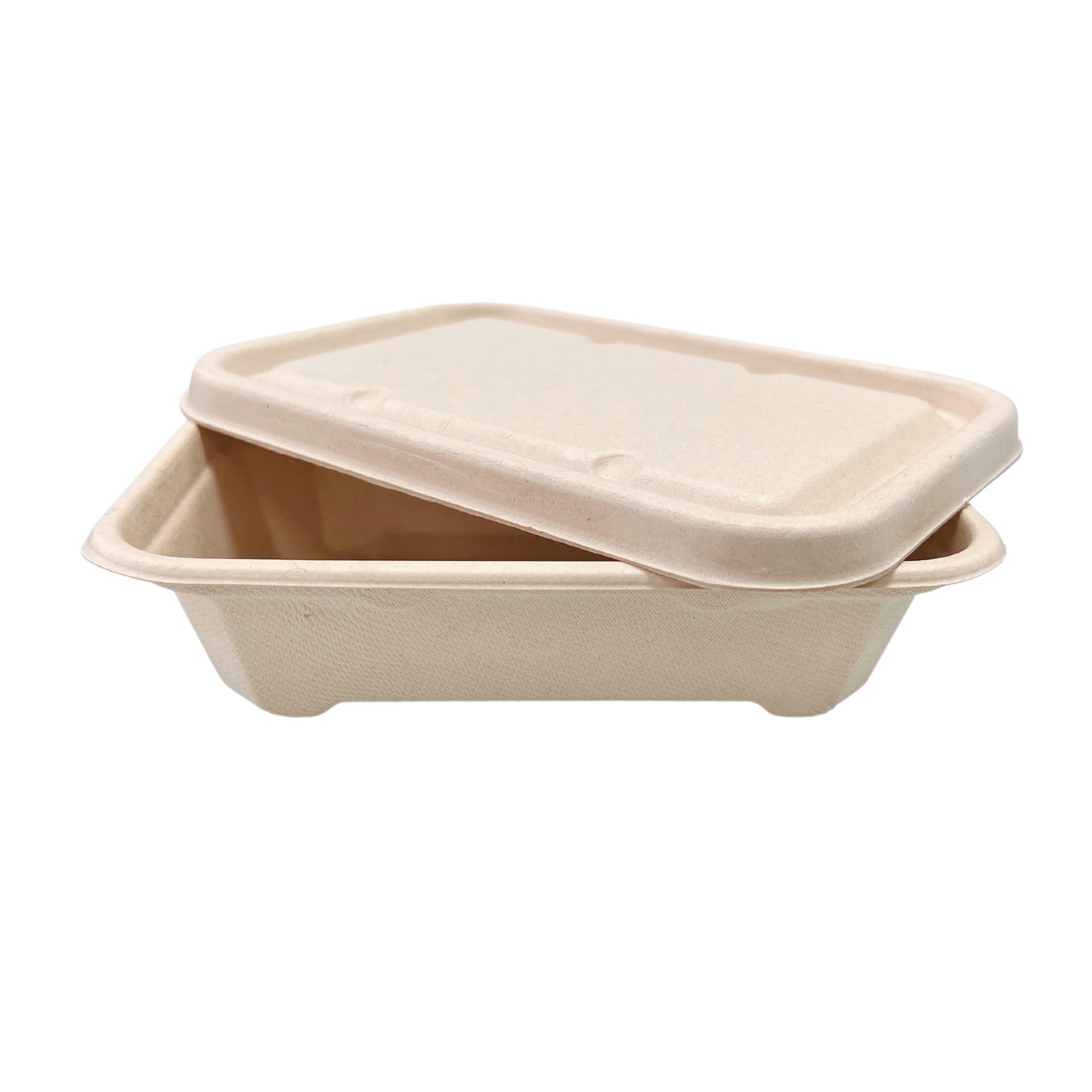 Sample-550ml Rectangle Food Box (18 x 12.5 x 4.5CM)