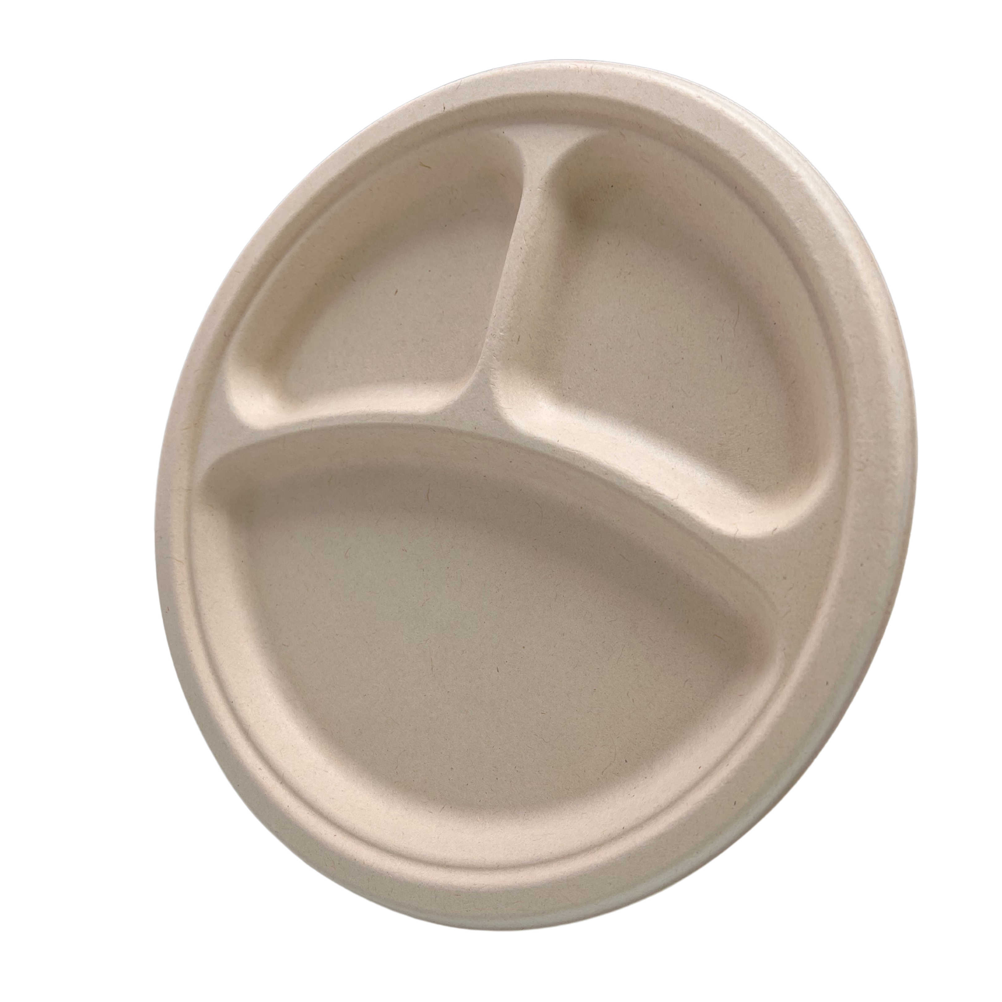 26cm x 2.5cm Round Bagasse Plate 3 CPT
