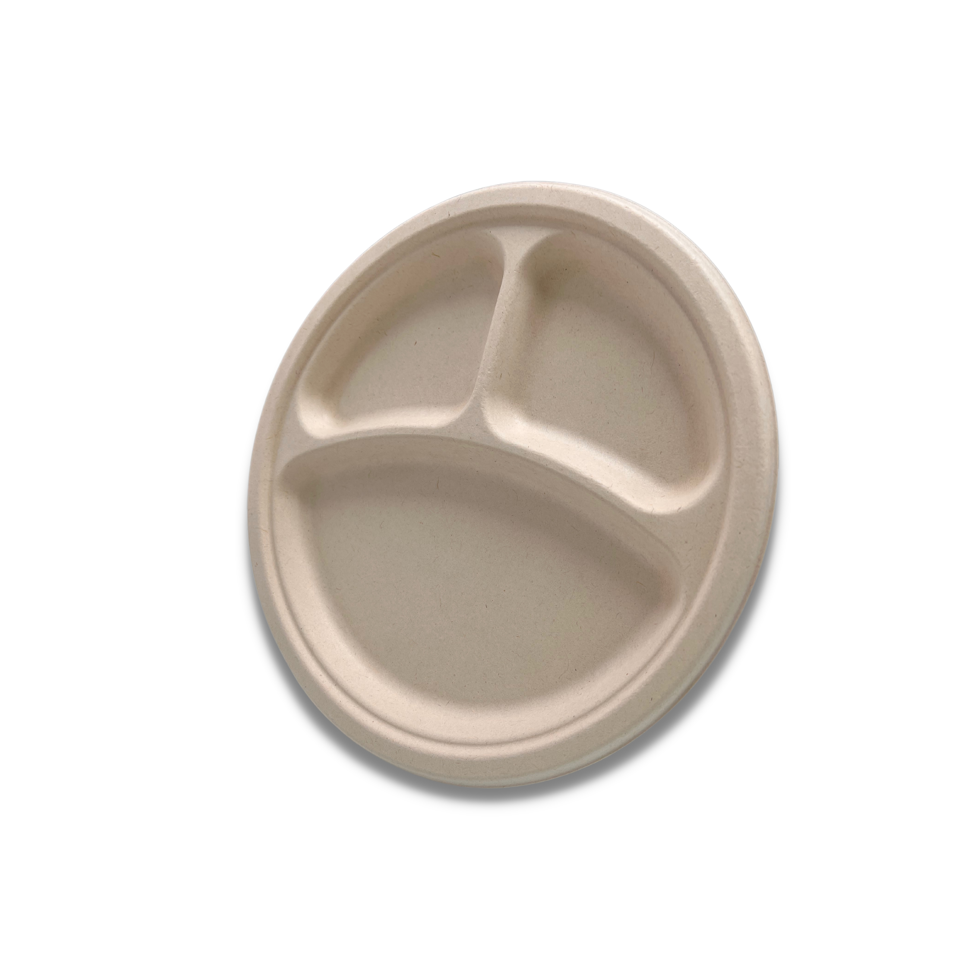 26cm x 2.5cm Round Bagasse Plate 3 CPT