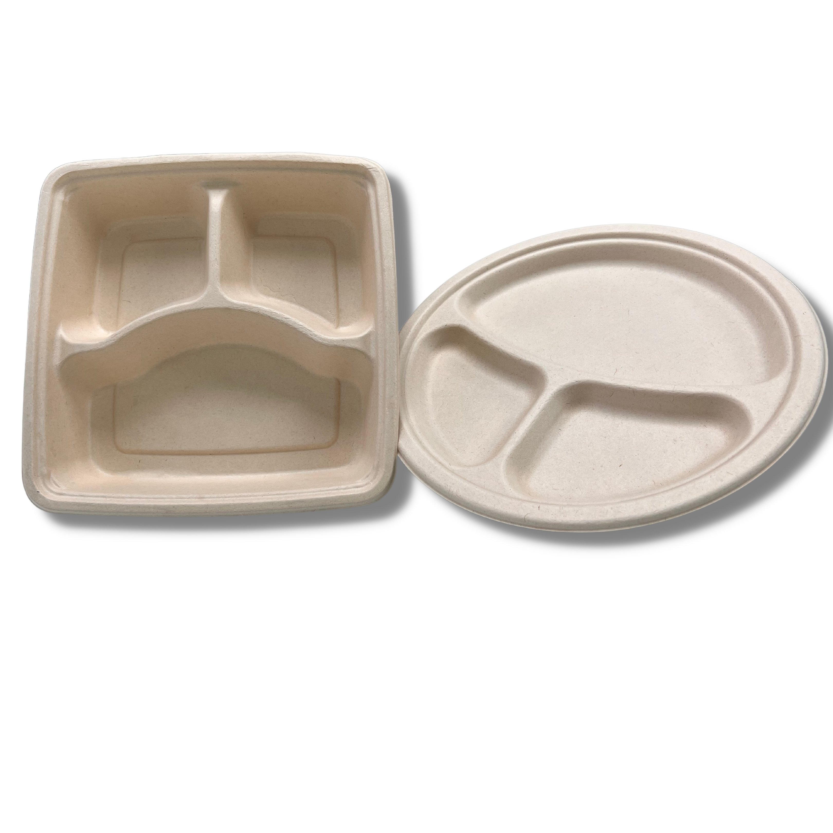 26cm x 2.5cm Round Bagasse Plate 3 CPT