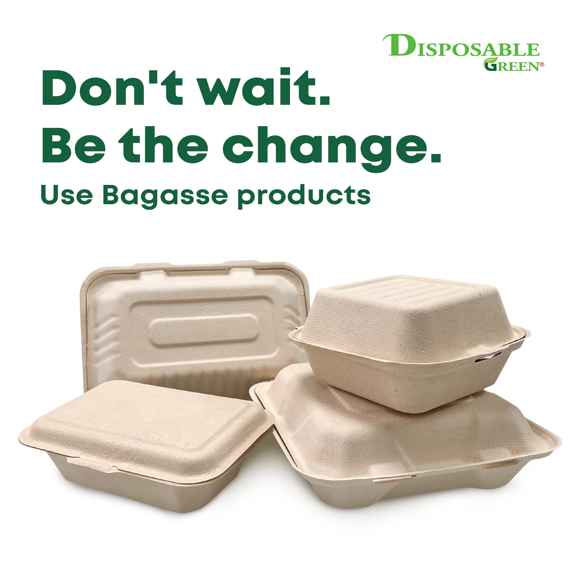 6" Bagasse Clamshell (15.5 x 15 x 5/8CM)