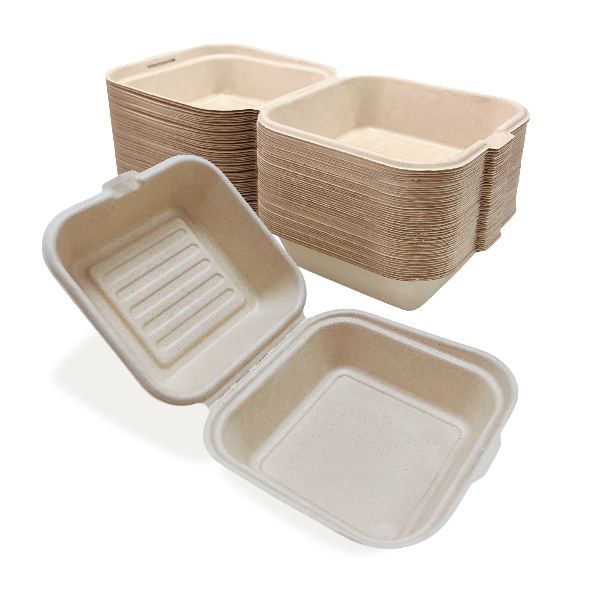 6" Bagasse Clamshell (15.5 x 15 x 5/8CM)