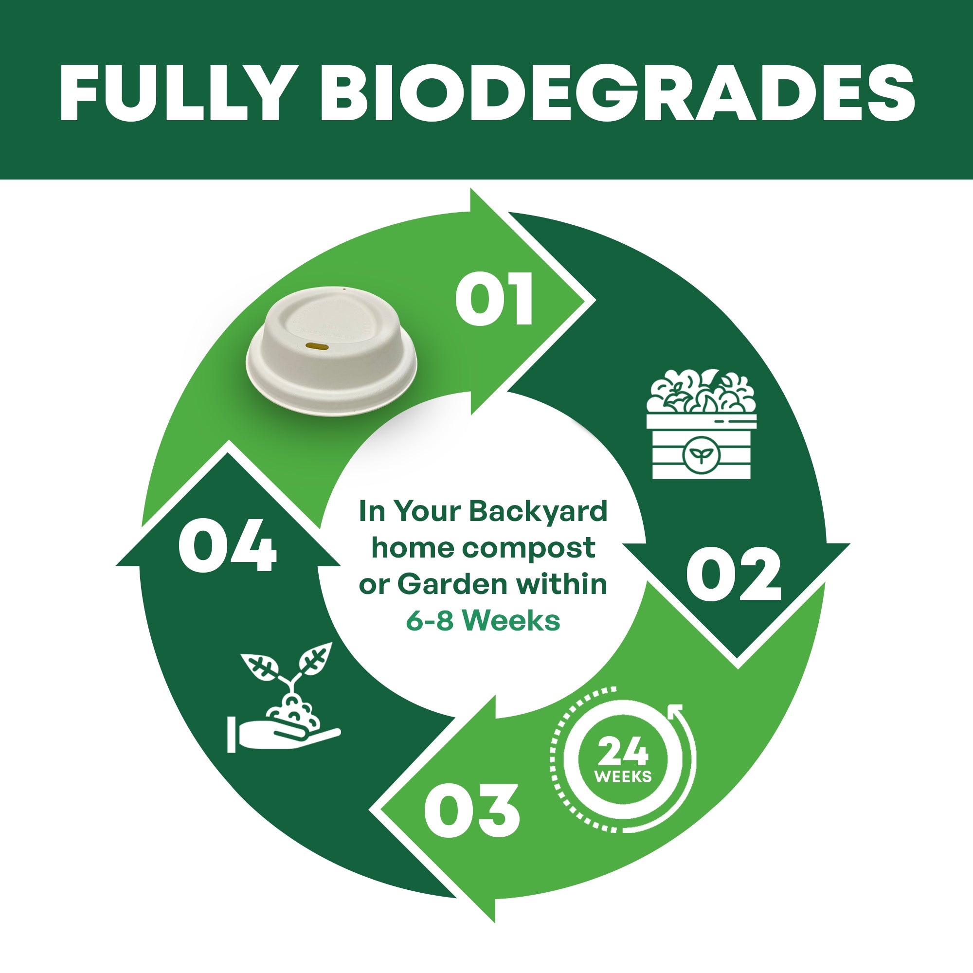 90mm Home Compostable Sugarcane Pulp Lid fits 10oz, 12oz and 16oz Cups