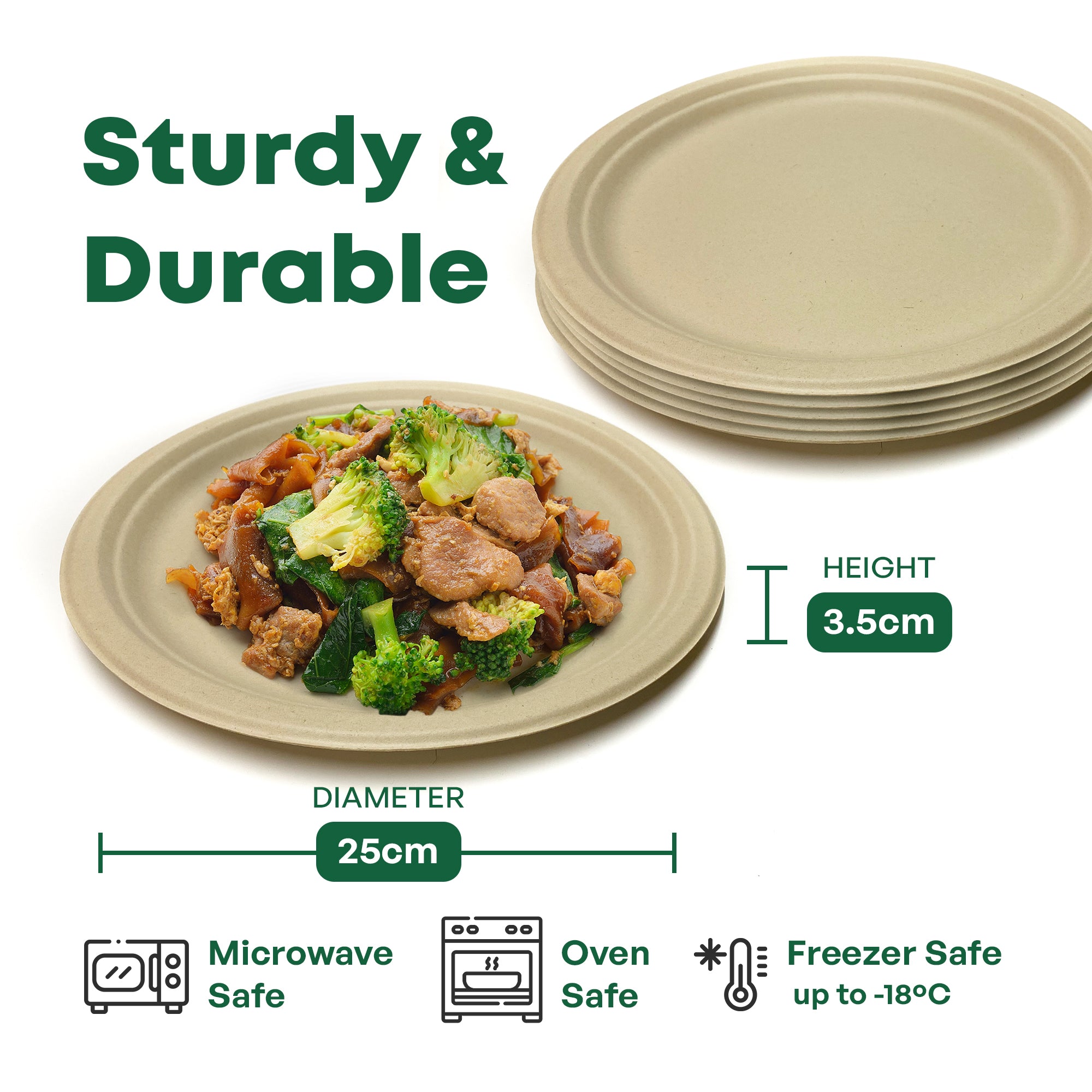 Round Bagasse Plate - 25cm (10 inch)