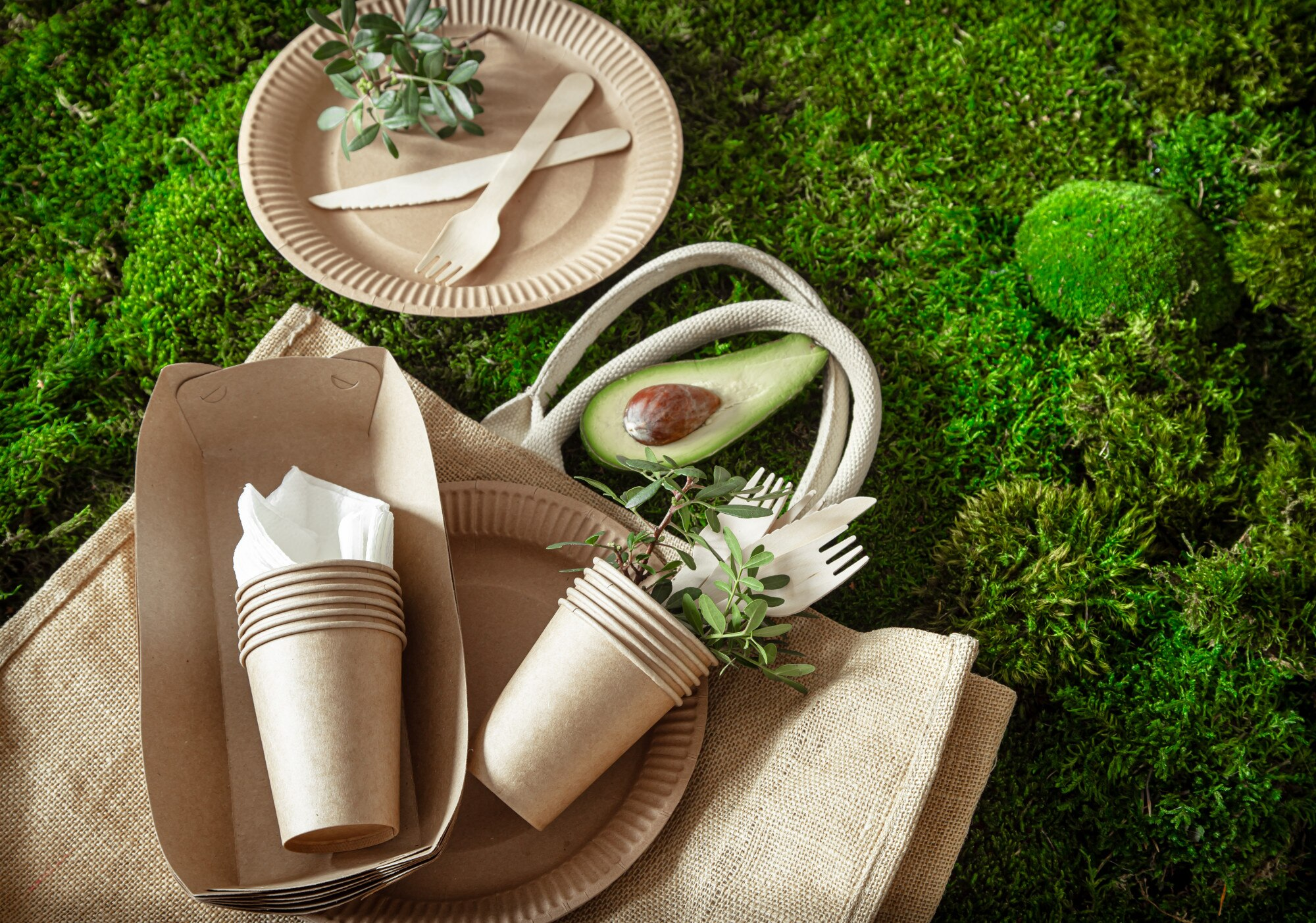 Disposable Green - Food Packaging Supplier
