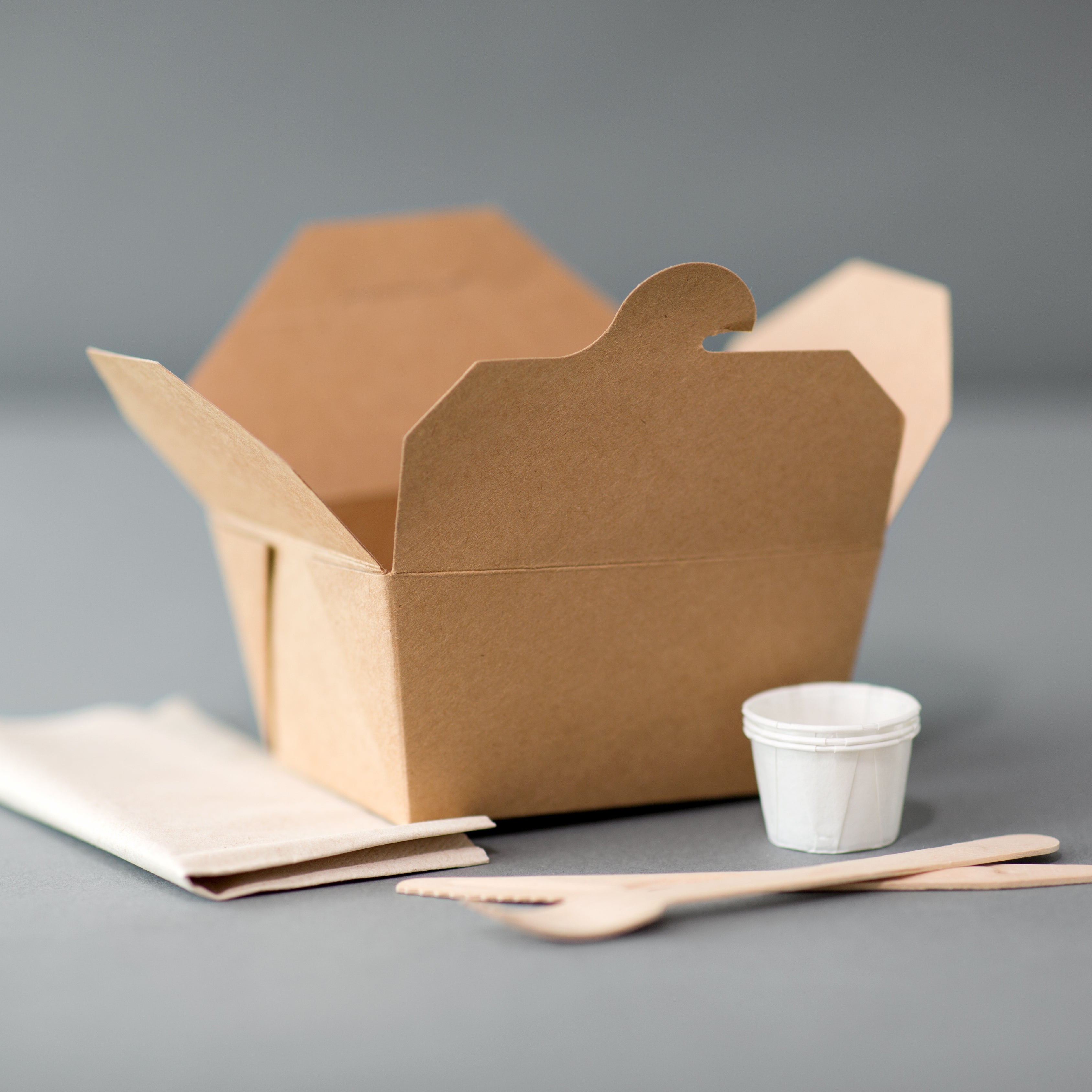 Disposable Green - Food Packaging Solutions