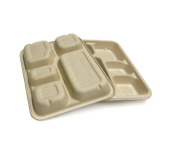 Bagasse Trays