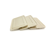 Bagasse Takeaway Boxes and Lids