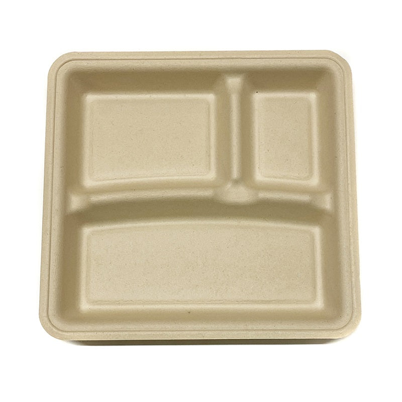 Sample-Square Bagasse Plate 3 CPT - 25cm x 23.5cm