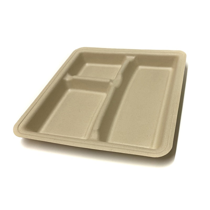 Sample-Square Bagasse Plate 3 CPT - 25cm x 23.5cm