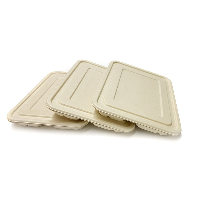 Sample-Rectangle Plate Lid 5 CPT 28cm x 22cm