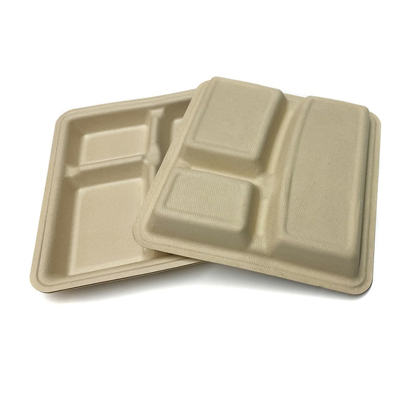 Sample-Square Bagasse Plate 3 CPT - 25cm x 23.5cm