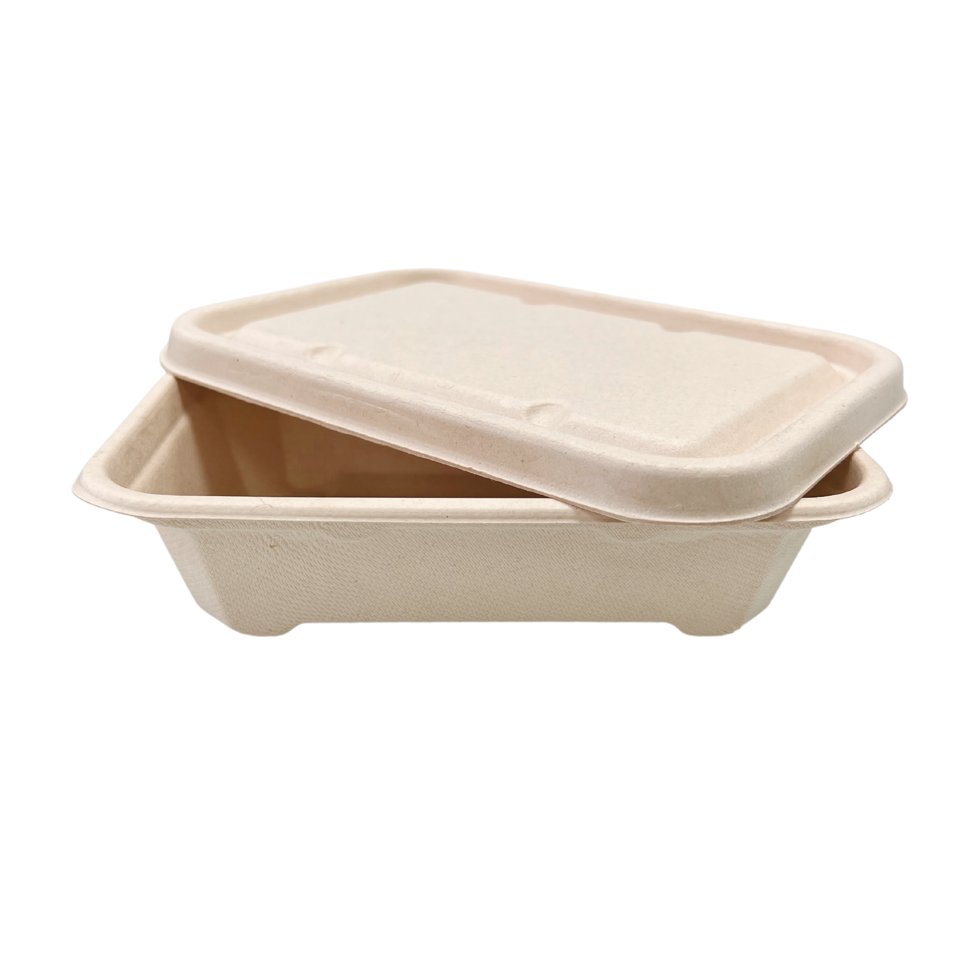 Sample-550ml Rectangle Food Box  (18 x 12.5 x 4.5CM)