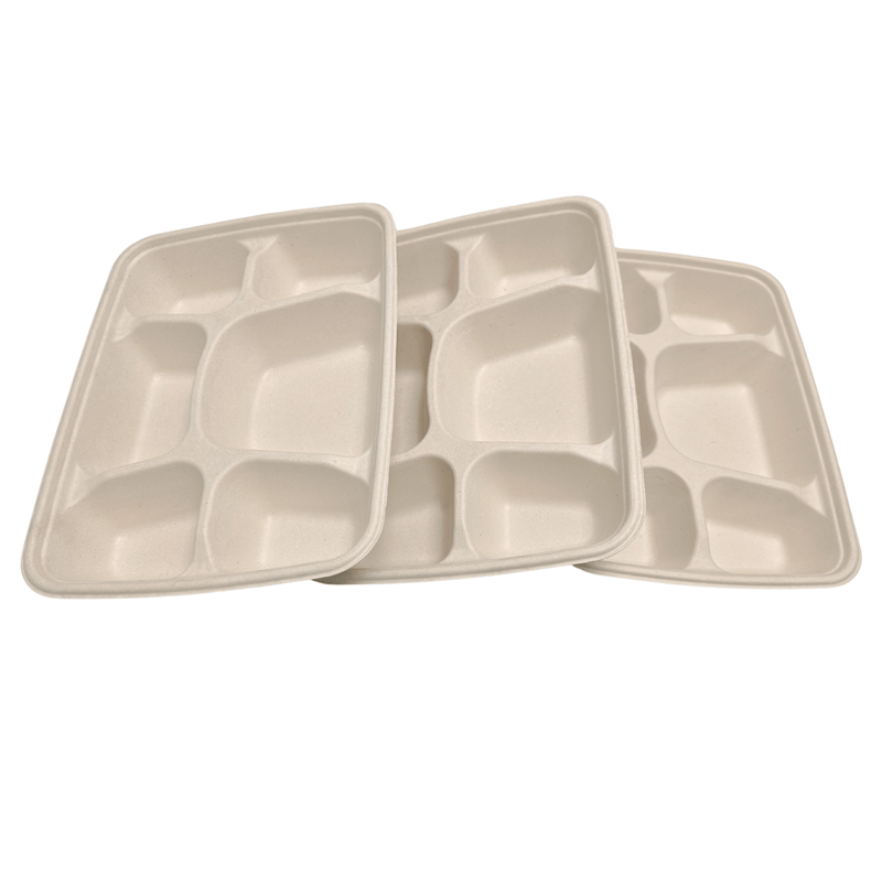 Sample-28.1cm x 21cm x 45cm  Bagasse Plate 6 CPT