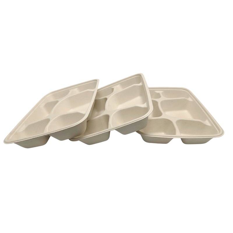 Sample-28.1cm x 21cm x 45cm  Bagasse Plate 6 CPT