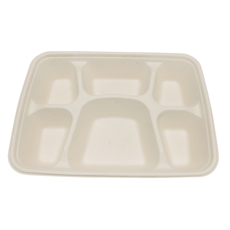 Sample-28.1cm x 21cm x 45cm  Bagasse Plate 6 CPT