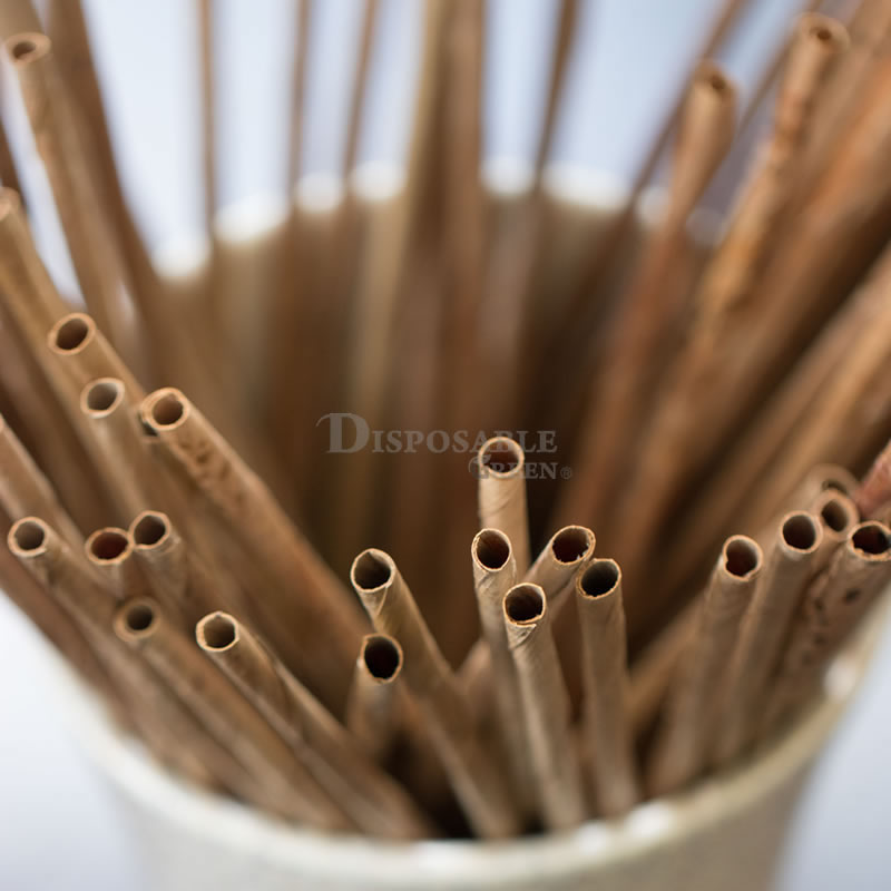 Sample-8mm Coconut Palm Leaf Straws