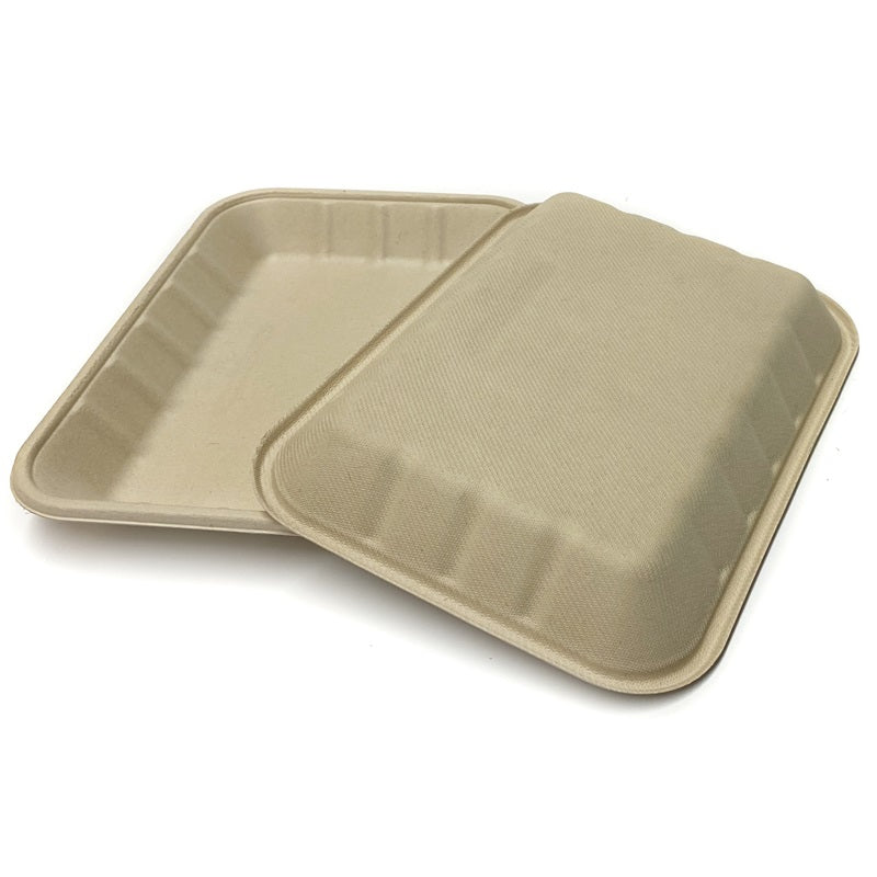 Sample-Rectangle Bagasse Tray 18cm x 24cm