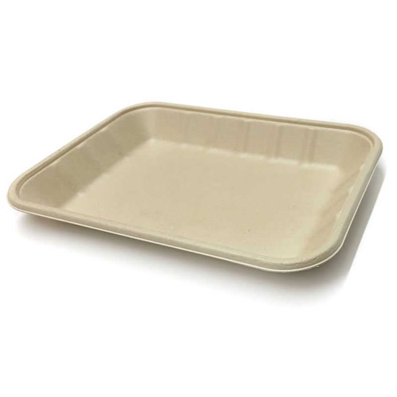 Sample-Rectangle Bagasse Tray 18cm x 24cm