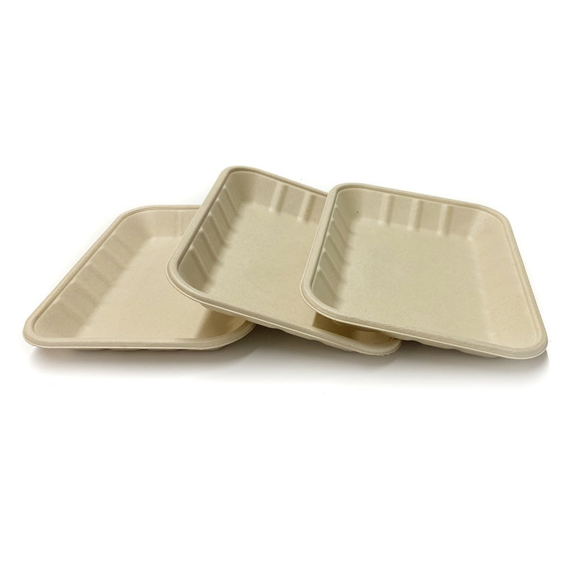 Sample-Rectangle Bagasse Tray 18cm x 24cm