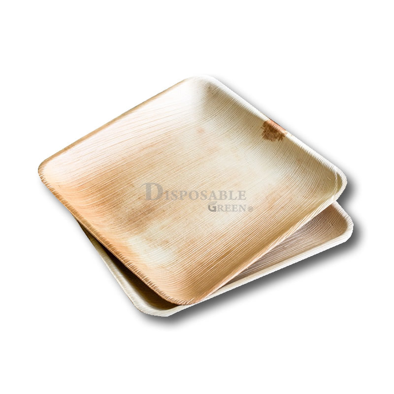 Sample-Square Plate 25L x 25W x 2.5D cm