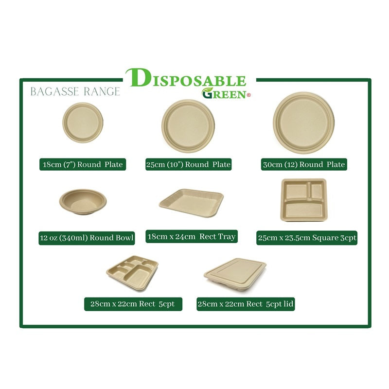 Sample-Rectangle Bagasse Plate 5CPT 28cm x 22cm